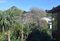 Coneview